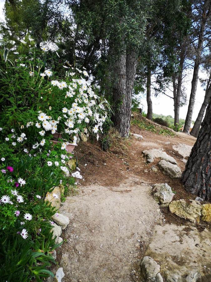 קאלאפיי Apartamento Entre La Playa Y La Montana מראה חיצוני תמונה